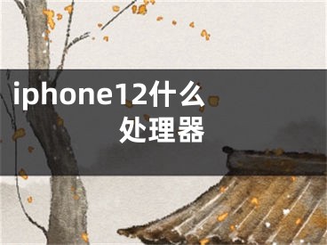 iphone12什么处理器