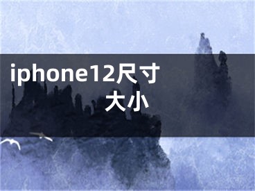 iphone12尺寸大小
