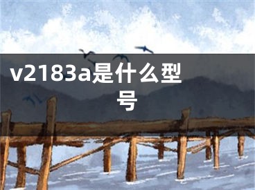 v2183a是什么型号