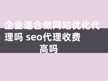 企业适合做网站优化代理吗 seo代理收费高吗 