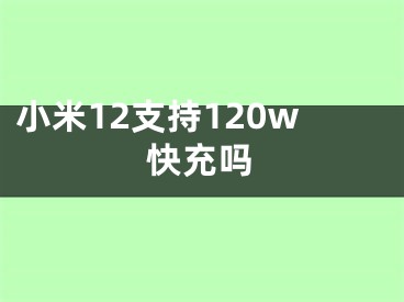 小米12支持120w快充吗