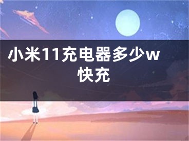 小米11充电器多少w快充