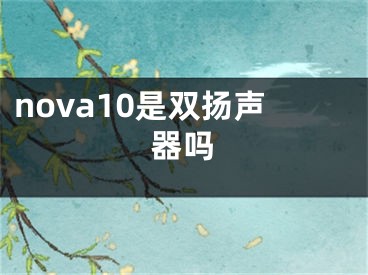 nova10是双扬声器吗