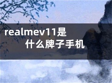 realmev11是什么牌子手机