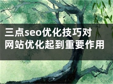 三点seo优化技巧对网站优化起到重要作用