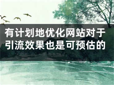 有计划地优化网站对于引流效果也是可预估的