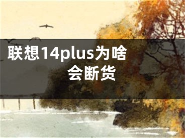 联想14plus为啥会断货