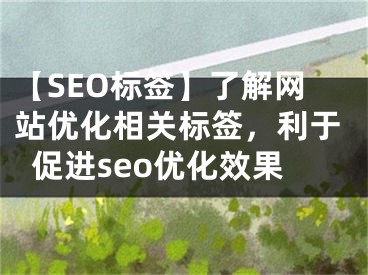 【SEO标签】了解网站优化相关标签，利于促进seo优化效果