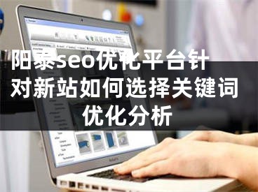 阳泰seo优化平台针对新站如何选择关键词优化分析