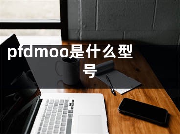 pfdmoo是什么型号