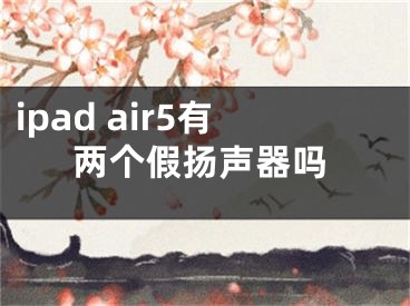 ipad air5有两个假扬声器吗