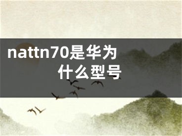 nattn70是华为什么型号