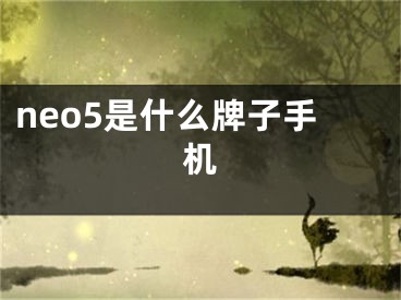 neo5是什么牌子手机 