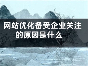 网站优化备受企业关注的原因是什么 