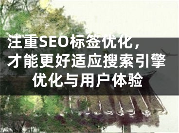 注重SEO标签优化，才能更好适应搜索引擎优化与用户体验