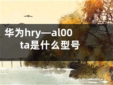 华为hry—al00ta是什么型号