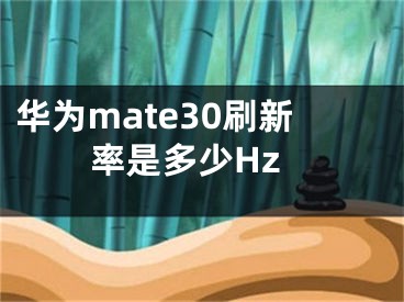 华为mate30刷新率是多少Hz