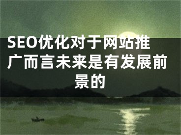 SEO优化对于网站推广而言未来是有发展前景的