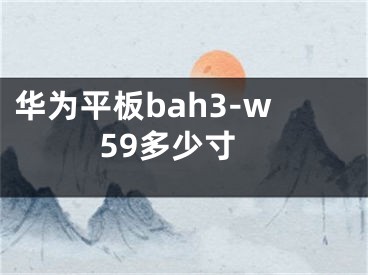 华为平板bah3-w59多少寸