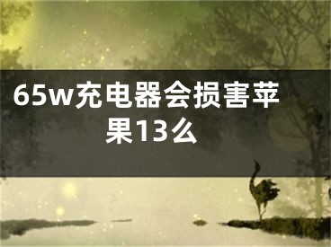 65w充电器会损害苹果13么