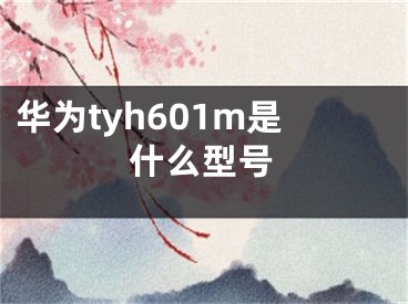 华为tyh601m是什么型号