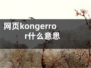 网页kongerror什么意思