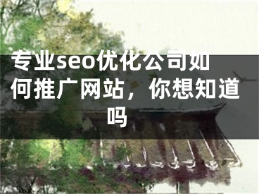 专业seo优化公司如何推广网站，你想知道吗 