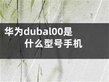 华为dubal00是什么型号手机