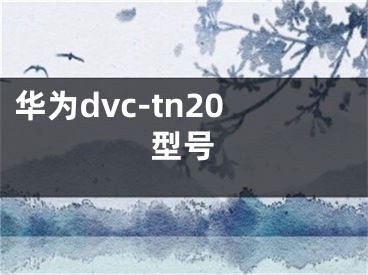 华为dvc-tn20型号