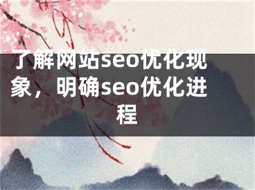 了解网站seo优化现象，明确seo优化进程