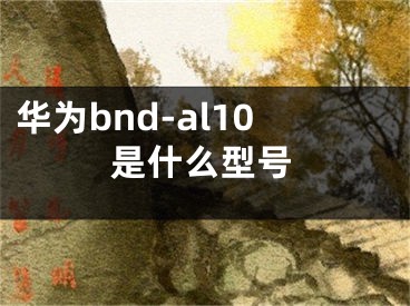 华为bnd-al10是什么型号