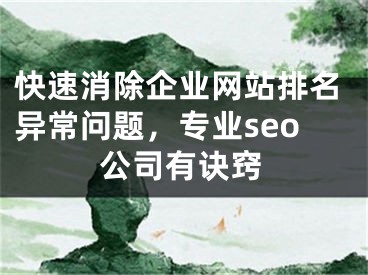 快速消除企业网站排名异常问题，专业seo公司有诀窍