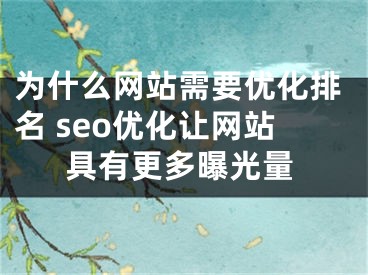 为什么网站需要优化排名 seo优化让网站具有更多曝光量