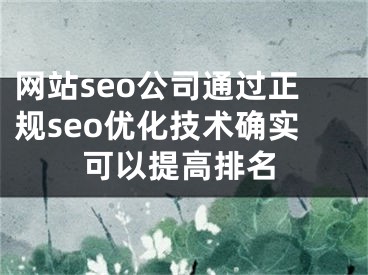 网站seo公司通过正规seo优化技术确实可以提高排名
