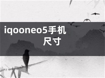 iqooneo5手机尺寸