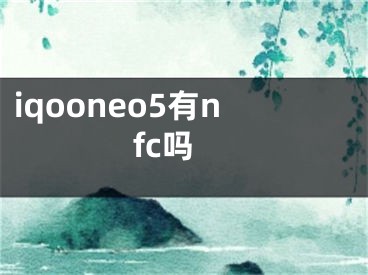 iqooneo5有nfc吗