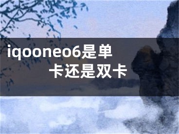 iqooneo6是单卡还是双卡