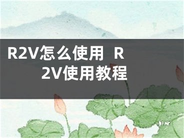 R2V怎么使用  R2V使用教程