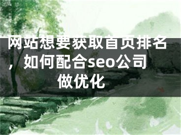网站想要获取首页排名，如何配合seo公司做优化 