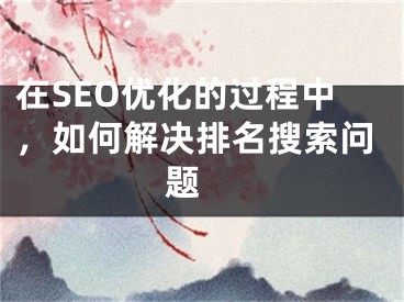 在SEO优化的过程中，如何解决排名搜索问题 