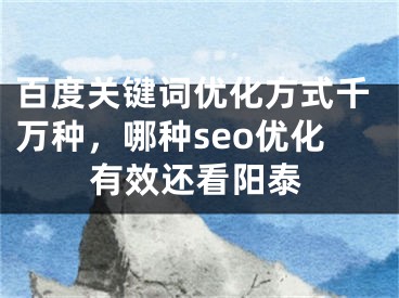 百度关键词优化方式千万种，哪种seo优化有效还看阳泰