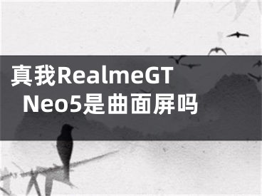 真我RealmeGTNeo5是曲面屏吗