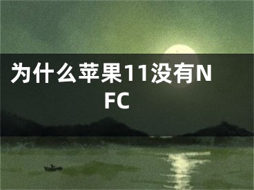 为什么苹果11没有NFC