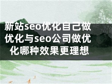 新站seo优化自己做优化与seo公司做优化哪种效果更理想 