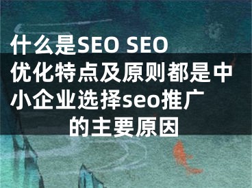 什么是SEO SEO优化特点及原则都是中小企业选择seo推广的主要原因