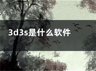 3d3s是什么软件