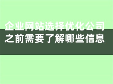 企业网站选择优化公司之前需要了解哪些信息 