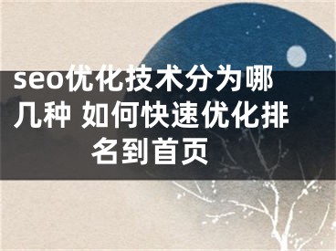 seo优化技术分为哪几种 如何快速优化排名到首页 