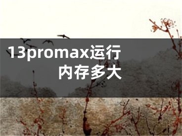 13promax运行内存多大