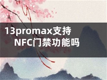 13promax支持NFC门禁功能吗